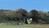 Tour Wandern Les Bons Villers - #221021 - Mellet, Champ Chassart et Saint Fiacre - Photo 2