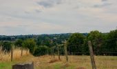 Trail Walking Thimister-Clermont - Along the Berwinne towards Val Dieu - Tourist ballad - Photo 19