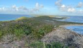 Trail Trail Saint-François - Anse la gourde  - Photo 1