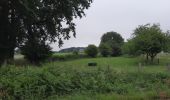 Tocht Stappen Fougères - GR_37_AF_20_Fougeres_Chapelle-Janson_20210619 - Photo 4