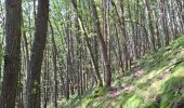 Excursión Senderismo Martelange - Martelange, Bois d’Anlier, Passerelle des oiseaux - Photo 1