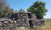 Tocht Stappen Le Puech - Les Vailhès Laulo Plateau d'Auverne Salagou - Photo 11