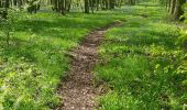 Trail Walking Saint-Ghislain - là Ronde maison - Photo 4