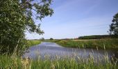 Tour Zu Fuß Unknown - Linnéstigarna Danmarksvandringen - Photo 4