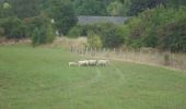 Tour Wandern Elbeuf-sur-Andelle - 20220823-Elbeuf sur Andelle  - Photo 19