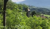 Trail Walking Saint-Vincent-de-Mercuze - Cascades de l’Alloix Montalieu - Photo 9