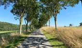 Trail Walking Dalhem - Le grand tour de Dalhem - Photo 3