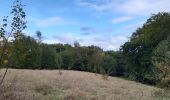 Tocht Stappen Chaudfontaine - bois les dames autour de chaudfontaine - Photo 14