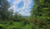 Excursión Senderismo Vresse-sur-Semois - rando 20 -05-2024 laforêt - Photo 6