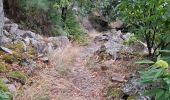 Trail Walking Prévenchères - GORGES DU CHASSEZAC DEPUIS LA GARDE- GUERIN - Photo 12