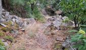 Percorso Marcia Prévenchères - GORGES DU CHASSEZAC DEPUIS LA GARDE- GUERIN - Photo 12