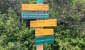 Trail Walking Seynes - Le tour du Mont Bouquet - Photo 8