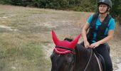 Trail Horseback riding Fronton -  trec club 1 - Photo 6
