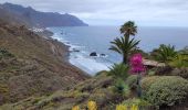 Tour Wandern Santa Cruz de Tenerife - BENIJO - El Draguillo - Photo 6