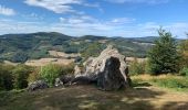 Tour Wandern Saint-Léger-sous-Beuvray - Oppidum de Bibracte - Photo 3