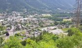 Randonnée Marche Chamonix-Mont-Blanc - Chamonix départ parking du Biolay derrière cimetière  - Photo 19