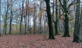 Randonnée Marche Seraing - la vecquée par les chemins de traverse - Photo 7