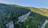 Excursión Senderismo Septmoncel les Molunes - Septmoncel - Le sentier des chamois  - Photo 8