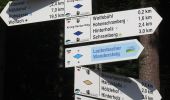 Tocht Te voet Lauterbach - Lauterbacher Wandersteig - Photo 2