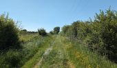 Randonnée Marche Manthelan - Manthelan - le Louroux - via PRs - 20.7km 100m 4h45 (1h) - 2025 04 30 - Photo 20