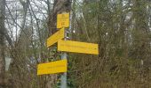 Excursión Senderismo La Trinité - Les Tours de Montmayeur au départ de la Trinité via col de Cochette - Photo 9