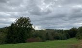 Excursión Senderismo La Roche-en-Ardenne - Transardennaise 1 - Photo 2