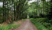 Trail Walking Vielsalm - La nature en questions   - Photo 9