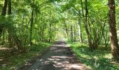 Trail Walking Namur - Vedrin 100823 - Photo 12