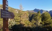 Excursión Senderismo Coaraze - Cime du l'Autaret  - Photo 2