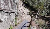 Tocht Stappen Le Valtin - Col de la Schlucht - sentier des Roches - Petit Honneck - Honneck - Trois Fours - Photo 7