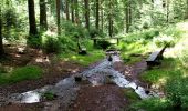 Randonnée A pied Schleusingen - Rundwanderweg Vessertal - Photo 7