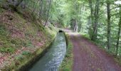 Trail Walking Valbonnais - Valbonnais Canal Beaumont - Photo 1