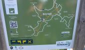 Trail Walking Île-d'Arz - PR_56_Ile-D-Arz_AA_01_Ile-D'Arz_Circuit1b_20240917 - Photo 18