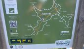 Tour Wandern Île-d'Arz - PR_56_Ile-D-Arz_AA_01_Circuit1b_Ile-D'Arz_20240917 - Photo 1