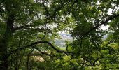 Tocht Stappen Giverny - Giverny Le lézard vert - Photo 11