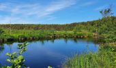 Excursión A pie okres Senica - Náučný chodník Lakšárska Nová Ves – Tomky - Photo 2