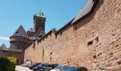 Tour Wandern Orschweiler - HAUT KOENIGSBOURG - Photo 6