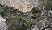 Tocht Stappen Κοινότητα Ζαροῦ - Lac de Votomos à la chapelle d'Agios Loannis (rother n°44) - Photo 13