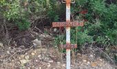 Randonnée Marche Aniane - entre vignes et forêts  - Photo 4