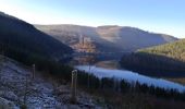 Trail Walking Stavelot - rando autour du lac de Coo - Photo 4