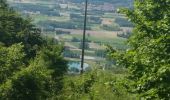 Tocht Stappen Saint-Quentin-sur-Isère - st Quentin montaud boucle - Photo 6