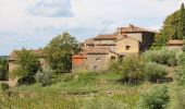 Excursión A pie Greve in Chianti - IT-30 - Photo 1