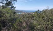 Tour Wandern Hyères - porquerolles - Photo 3