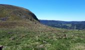 Tocht Stappen Murat-le-Quaire - la bourboule lac de guery - Photo 1