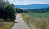 Excursión A pie Karlsbad - Spielberg: Waldkulturpfad - Gscheidweg - Photo 5