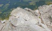 Trail Walking Saint-Jacques-des-Blats - Puy Griou depuis le Col de Font de Cère - Photo 15