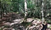 Percorso Marcia Spa - La forêt et les fagnes - Photo 17