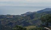 Tocht Stappen Argelès-sur-Mer - massane - Photo 18