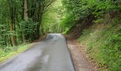 Tocht Te voet Roetgen - Kall-Rur-Panorama-Route - Photo 8
