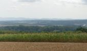 Trail Mountain bike Saint-Clément - sortie vtt du 08082018 baccarat badmenil  solo - Photo 5